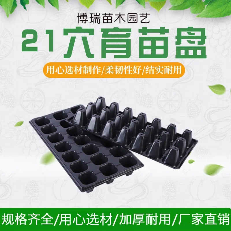 Succulent 21 Hole Seedling Tray Nursery Horticulture Thickened Hole Tray Planting Container