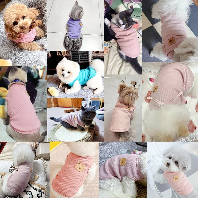 Fashion Pet Dog Vest Bear Print T-shirt Chihuahua Yorkshire Breathable Vest Cat Puppy Outdoor Clothing Summer Pet Costume