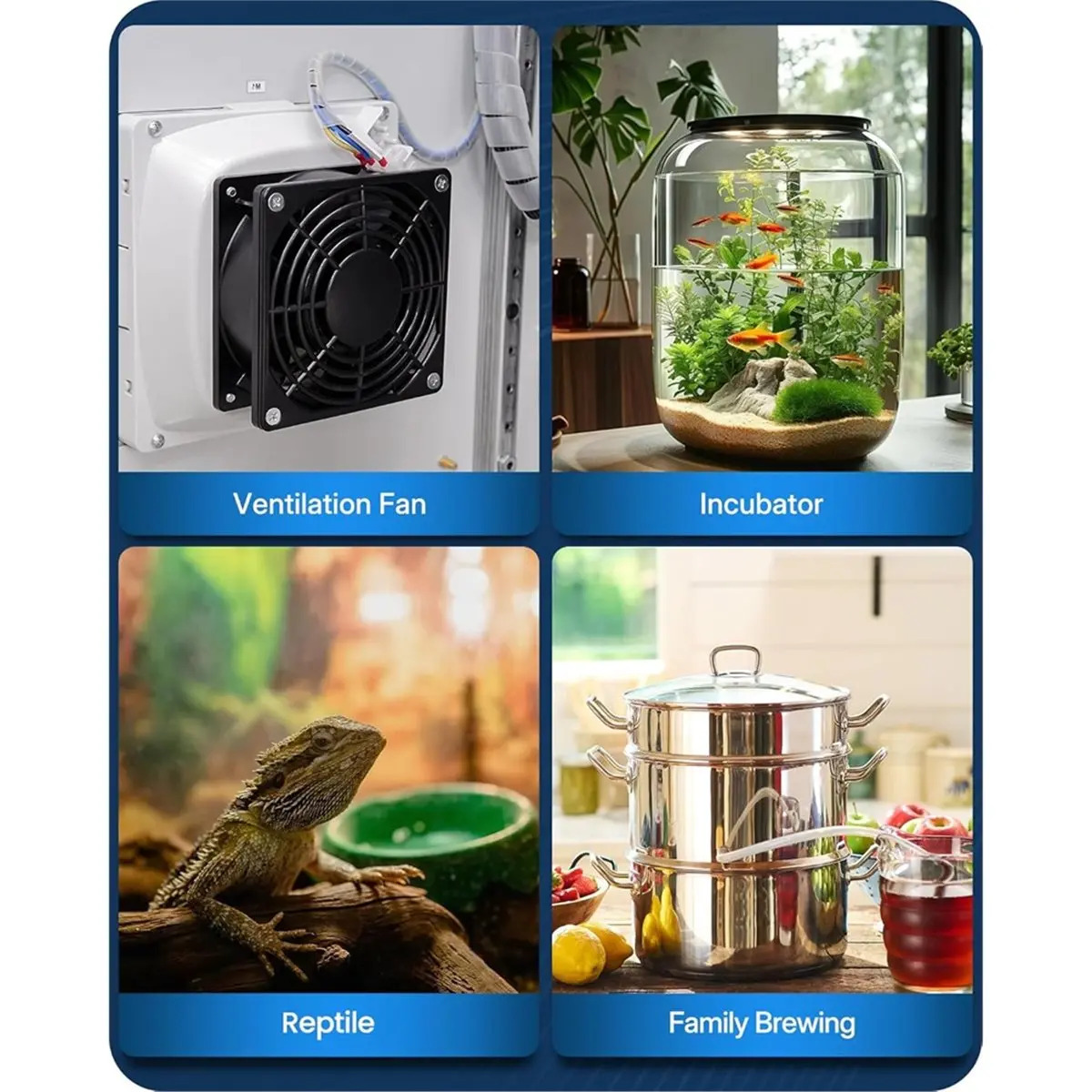 【Brilliant 】Digital…