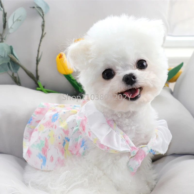 Summer Thin Pet Skirt Traction Teddy VIP Bichon Pomeranian York Summer Cat Cat Dog Clothes