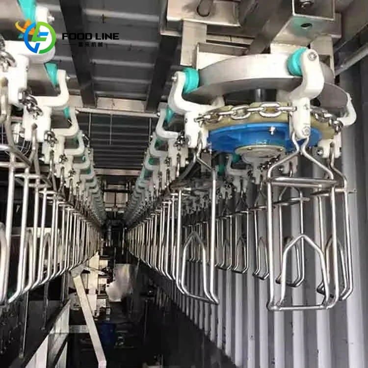 Máquina de abate de pollo asado personalizada, línea de procesamiento de aves de corral de alta calidad, equipo de abate de gran capacidad