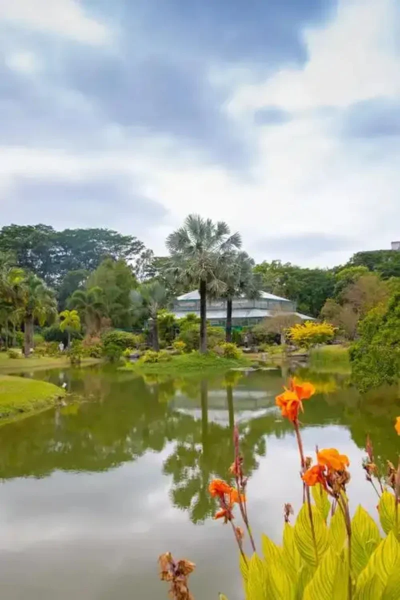 

For Benz CLA paint pen Supplies Modification Accessories Car paint scratch repair car scratch remover Paint repair set