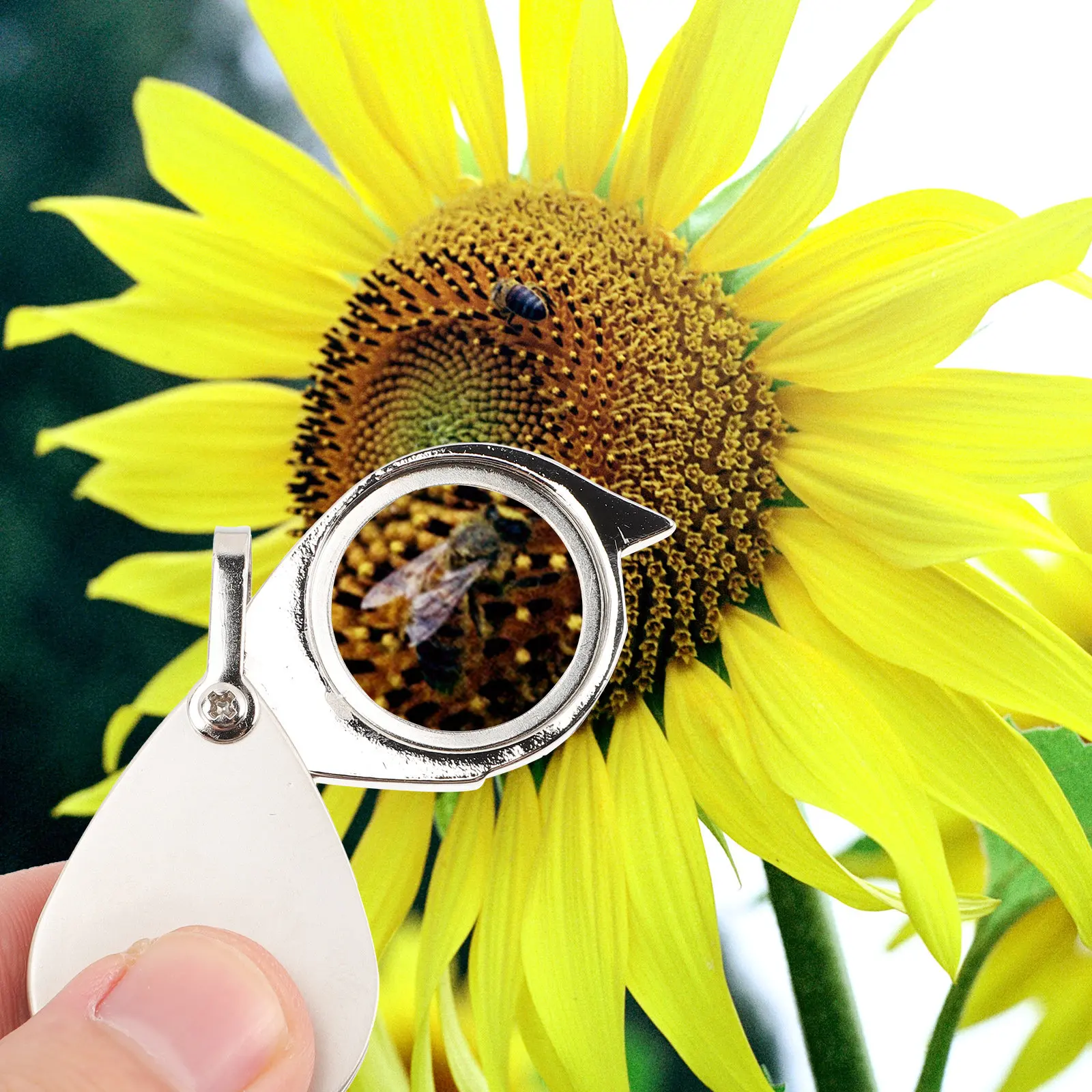Creative Portable Keyring Foldable Hanging Magnifying Glass Pendant Optical Loupe Magnifier for Outdoor Reading Inspection
