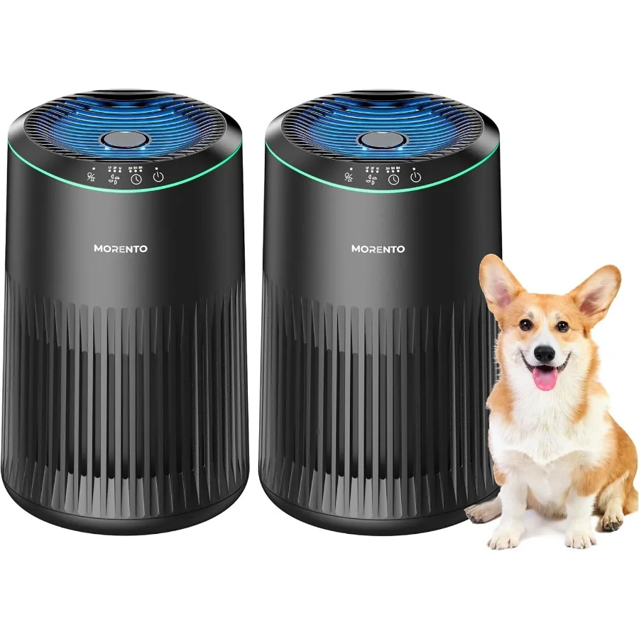 

Air Purifiers for Bedroom Home with Sleep Mode for Smoke Pet Dander Odors Small Air Purifier with Fragrance Sponge Blue Ambient