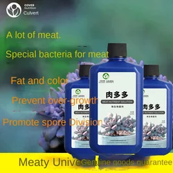 Succulent nutrient solution fattening and coloring bursting rooting household indoor and outdoor flower succulent fertiliz