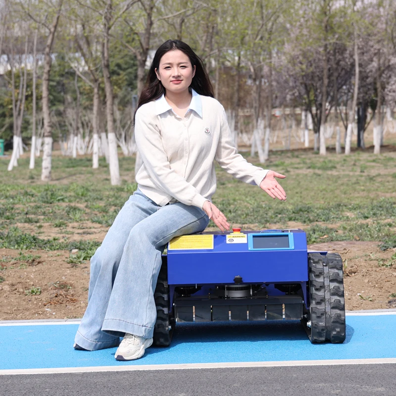 Customized Smart Ro…