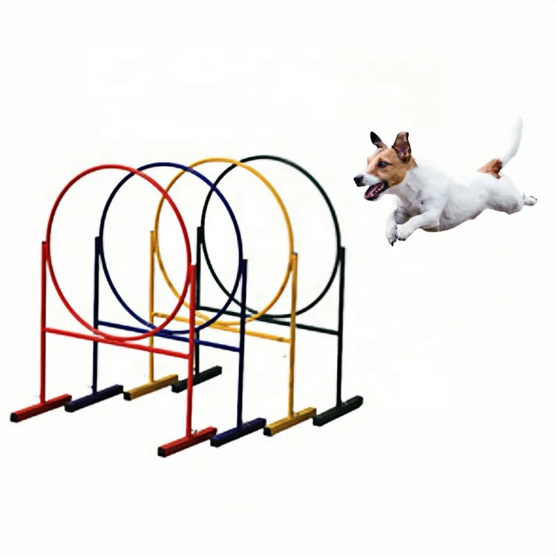 

Dog Jump Ring Agility Kit Hoop Jump Set Dog Agility Training Course Equipment Professional for Dog