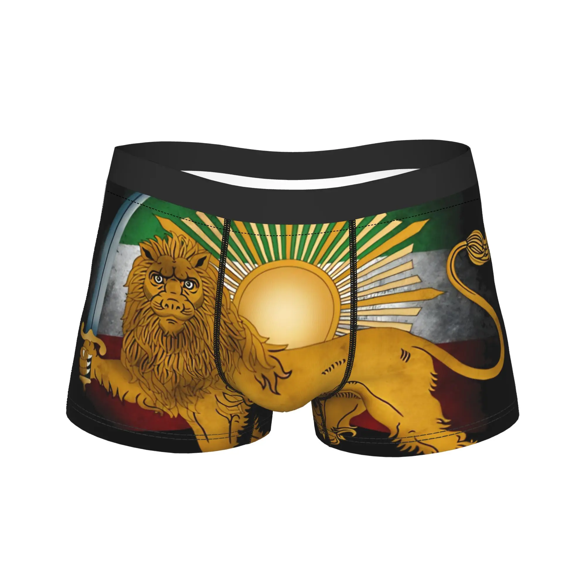 

Men Persian Iran Flag Lion and Sun Boxer Briefs Shorts Panties Mid Waist Underwear Male Funny Plus Size Underpants