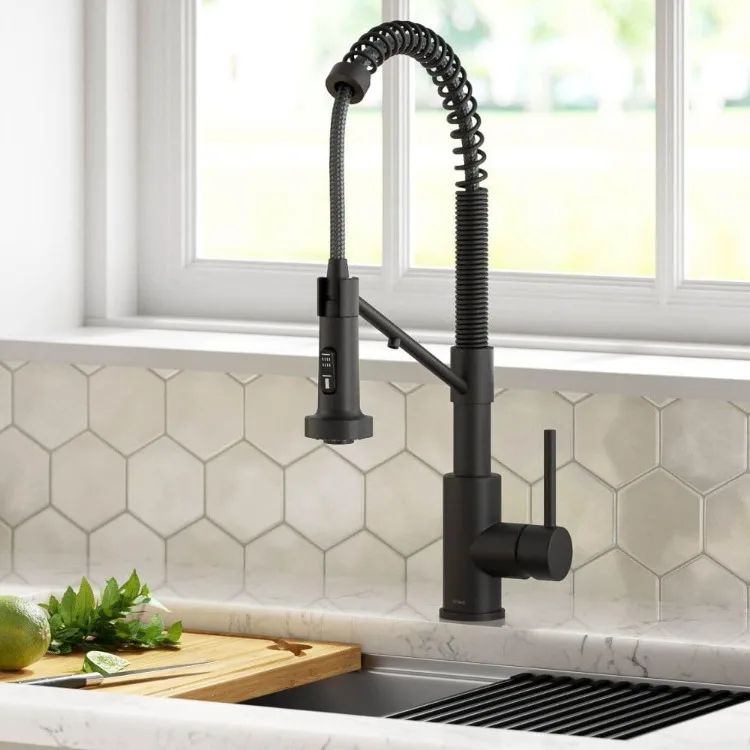 Bolden 2-in-1 Commercial Style Pull-Down Single Handle Water Filter Kitchen Faucet for Water Filtration System in Matte Black