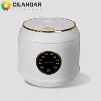 2025 New 110V-220V Mini Rice Cooker 2 to 3 people Small Top Steaming and Bottom Cooking Rice Cooker 1-2 people