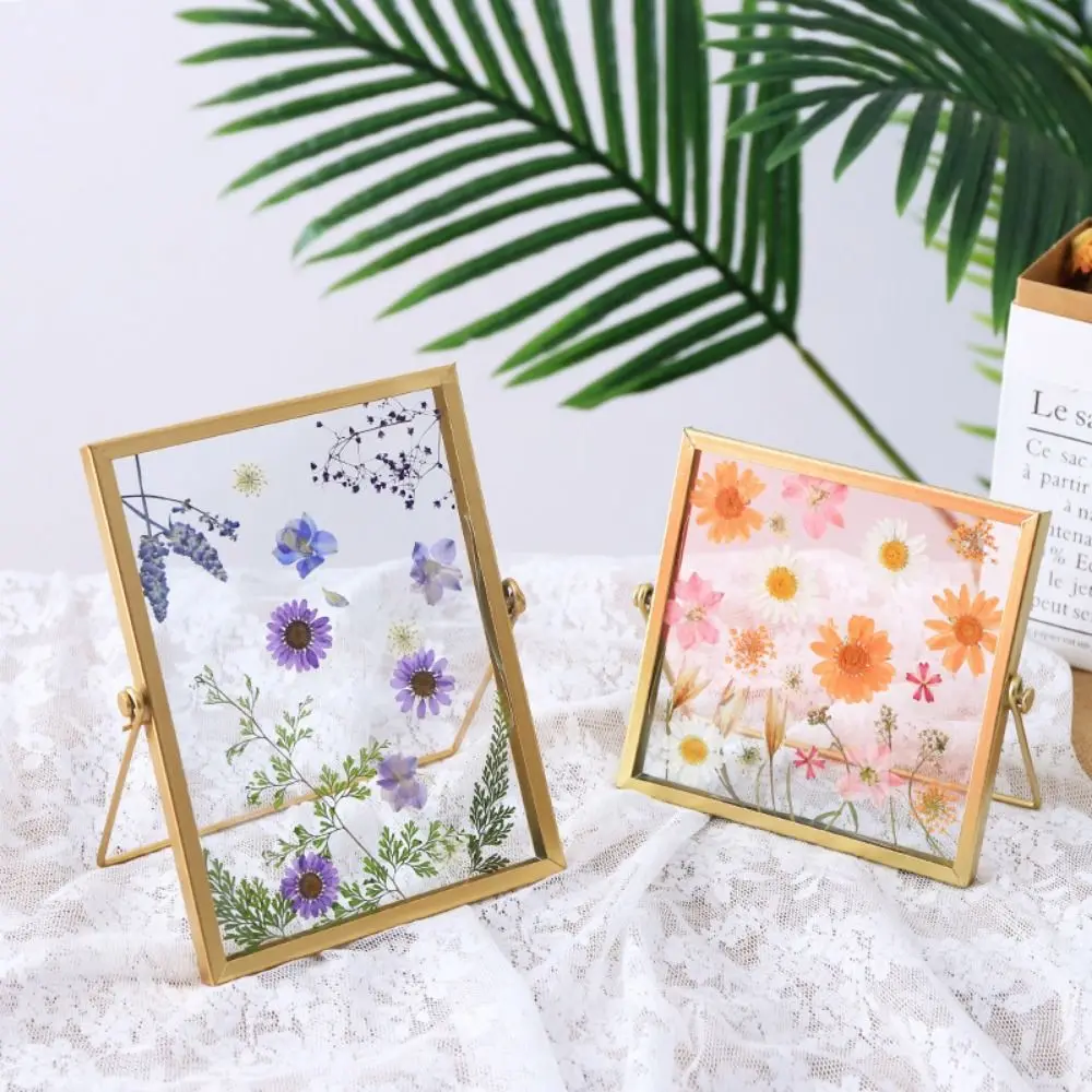 Nordic 4/6/7/8/10 Inch Metal Photo Frame Gold Black Acrylic Screen Picture Frame Rectangle Photo Display Plant Specimen