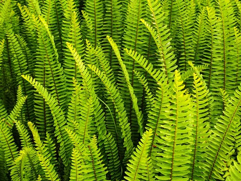 

Комплект колес и шин Beadlock 1.9 дюйма с шестигранником 12 мм для радиоуправляемых краулеров 1/10 TRX4 TRX6 Axial SCX10/SCX10 II/SCX10 III Gen7/8 D90 VS4-10