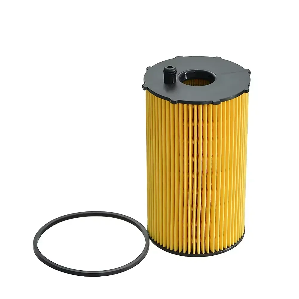 

Oil Filter For 2010 Citroen C5 C6 2.7 Peugeot 407 407COUPE 605 607 2.7 V6 Discovery Jaguar OEM 1311289