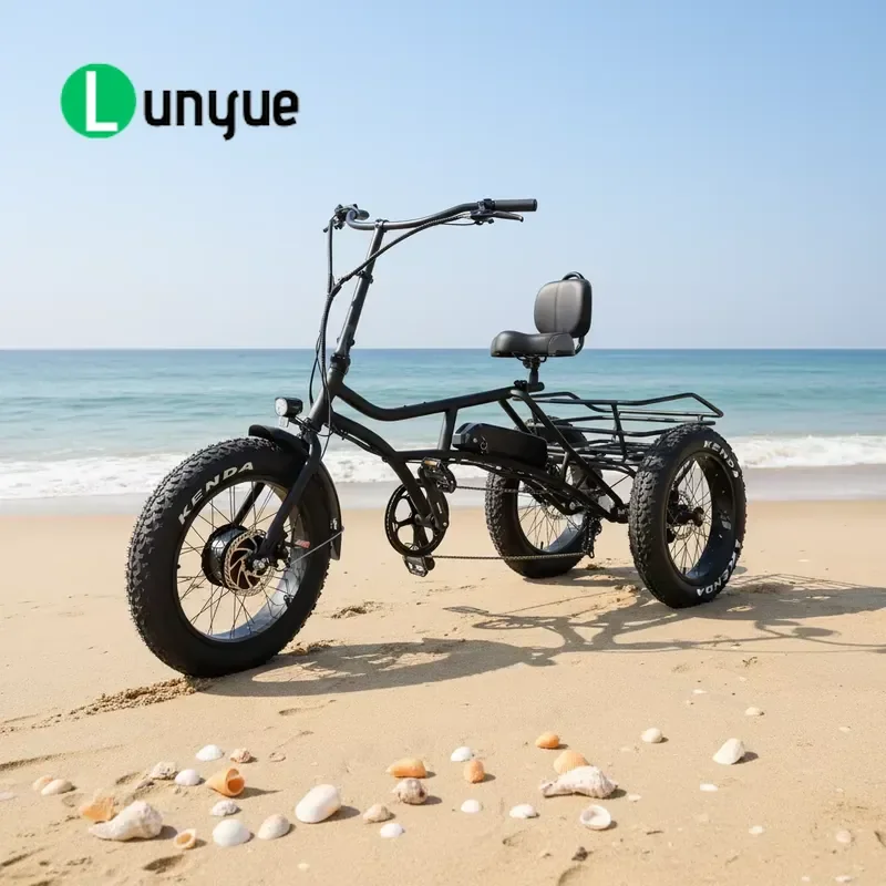 20 Inch Three Wheel Electric Tricycle Adult Open Cargo Box Horizontal Trike For Wholesale Custom Low Price Hot Selling