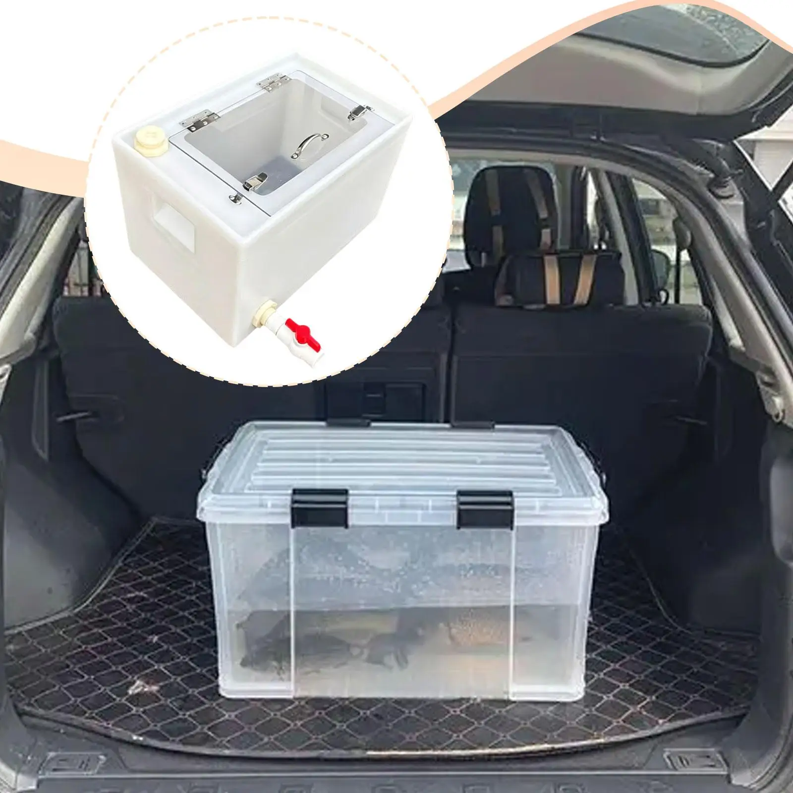 boite-d'elevage-de-poissons-multifonctionnelle-accessoires-reservoir-de-transport-de-poissons-resistant-aux-chocs-pour-coffre-de-voiture-voyage-lac