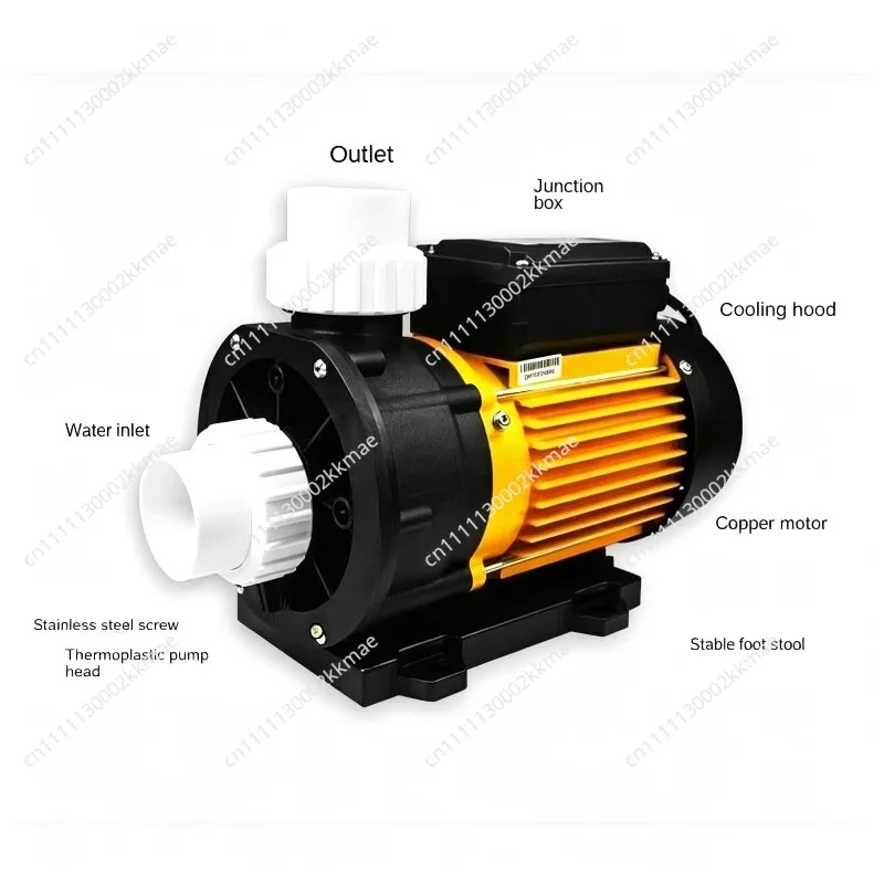 Sea Water Pump 1.2HP Water Pump For Whirlpool Spa Hot Tub And Salt Aquaculture 220V Anti-corrosion