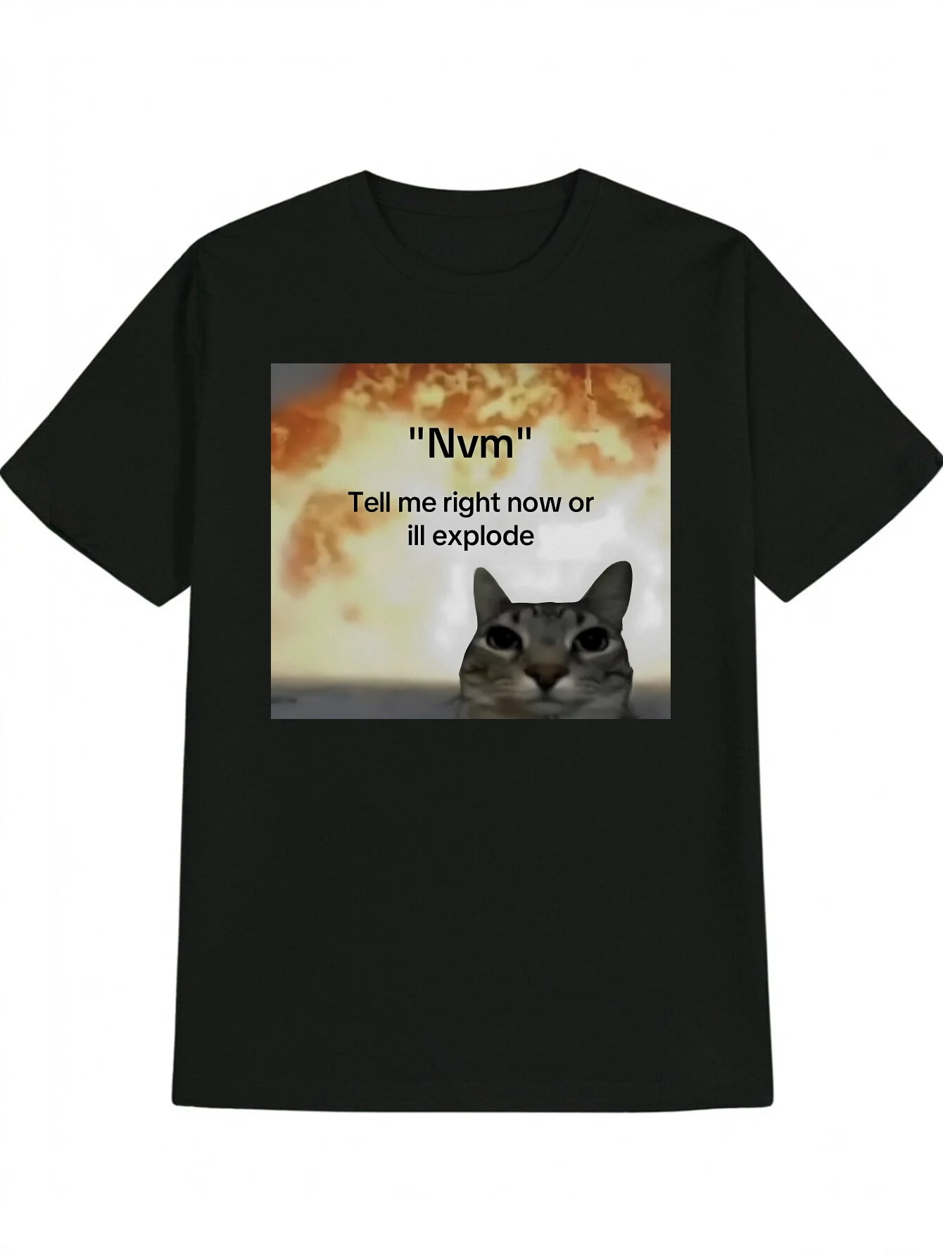 

Men'S Funny Meme Graphic T-Shirt Tell Me Right Now or I'll Explode Cat Design Black Crew Neck Tee Lightweight Shirt