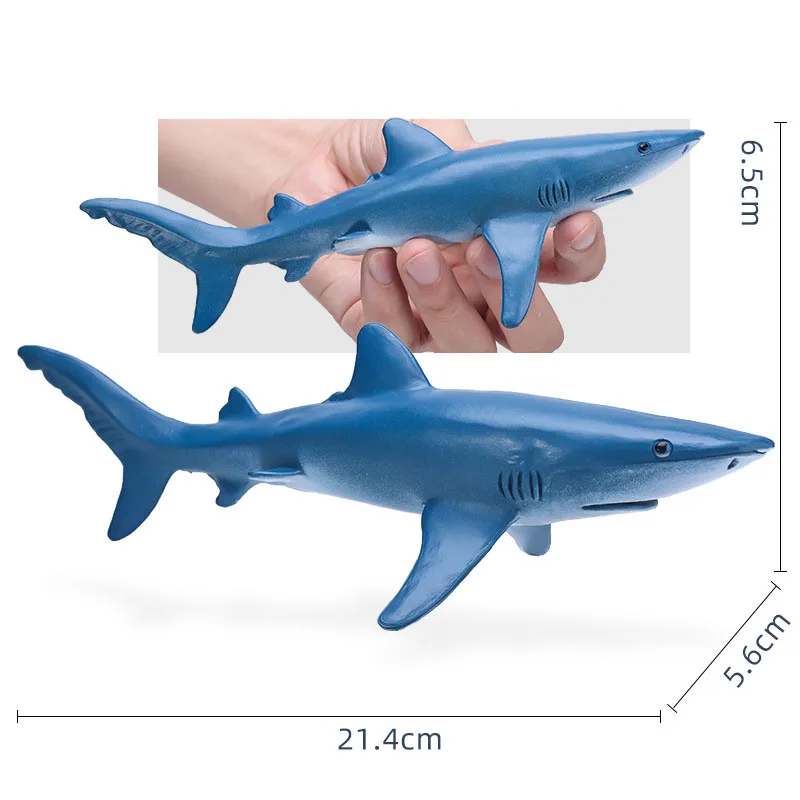 14-22CM Ocean Animals Action Figures Sealife Shark Whare Megalodon Models Figurines PVC Home Decoration Kids Education Toys Gift