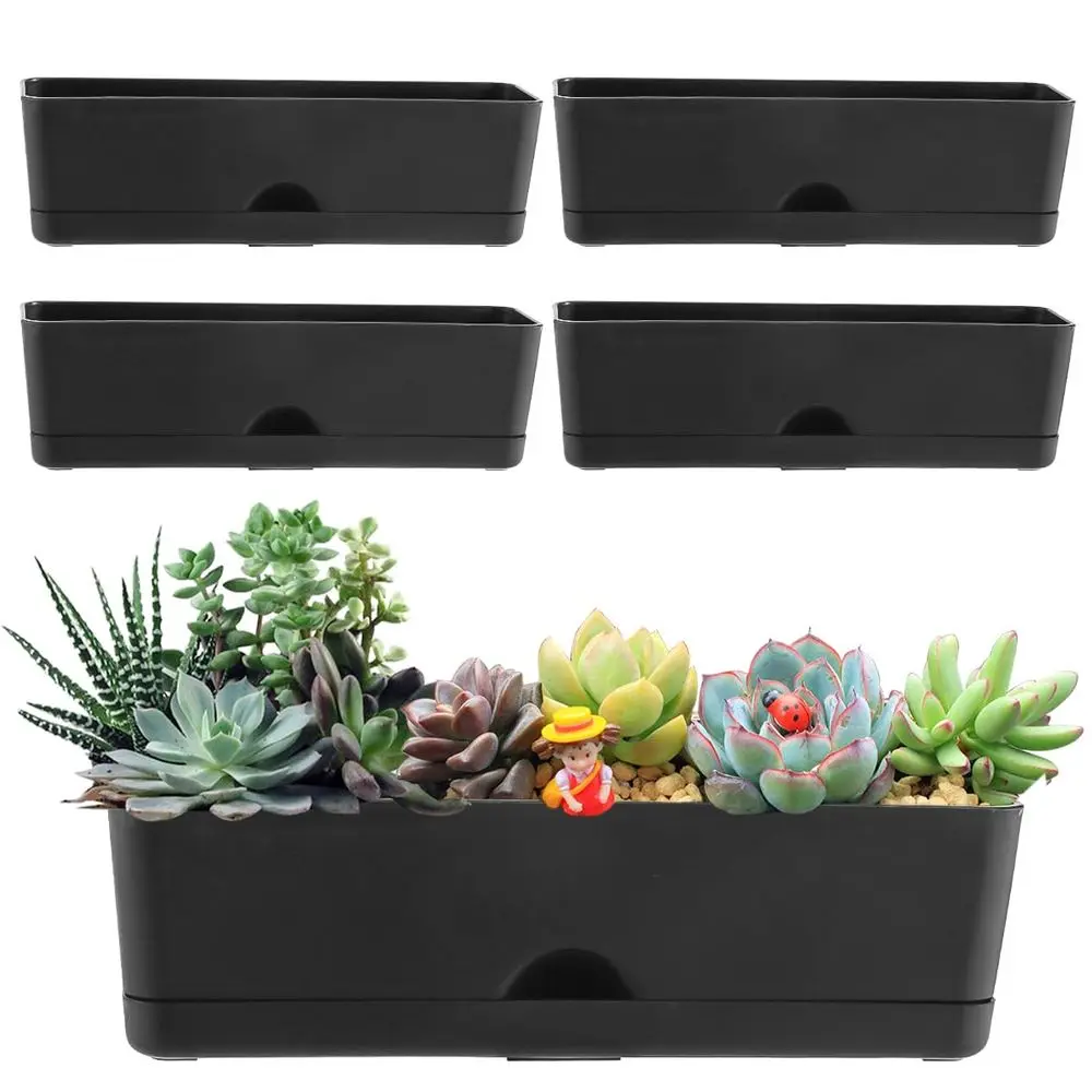 Pack Window Boxes P…