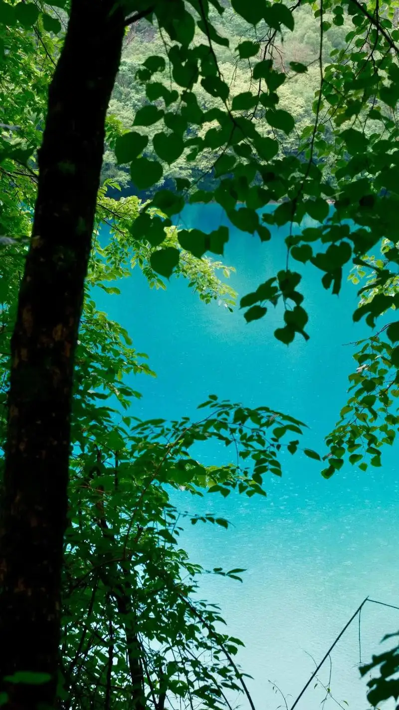 

4 Grid 3D Teddy Bear Shape Ice Cube Silicone Silian Little Bear Ice Block Mold Household Ice Cream Ice Box Cocktail Accessories