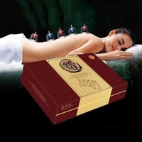 24 Cups Massage Vacuum Cupping Set Magnetic Aspirating Cupping Cans Acupuncture Massage Suction Cup Chinese Medical Massage Kit