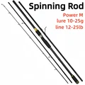Spinning Rod