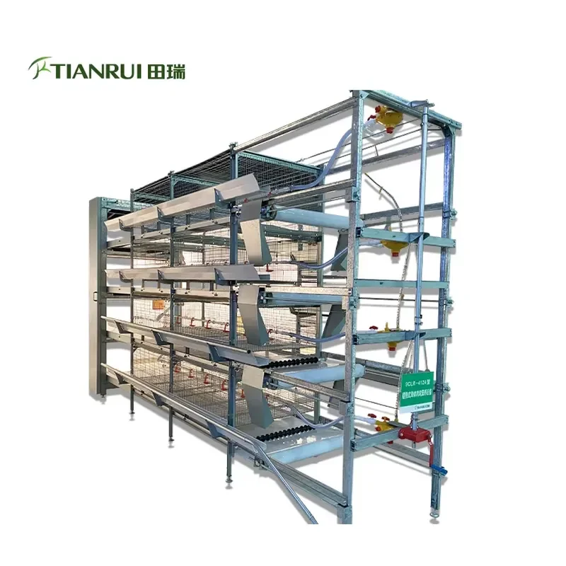 New H-Type Automatic Battery System Broiler Cages for Sale for poultry farming