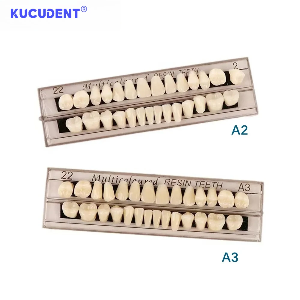 Zestaw 5 modeli dentystycznych do nauki, pełny zestaw akrylowych protez z żywicy z zębami A2 A3 do edukacji dentystycznej, treningu i ćwiczeń.