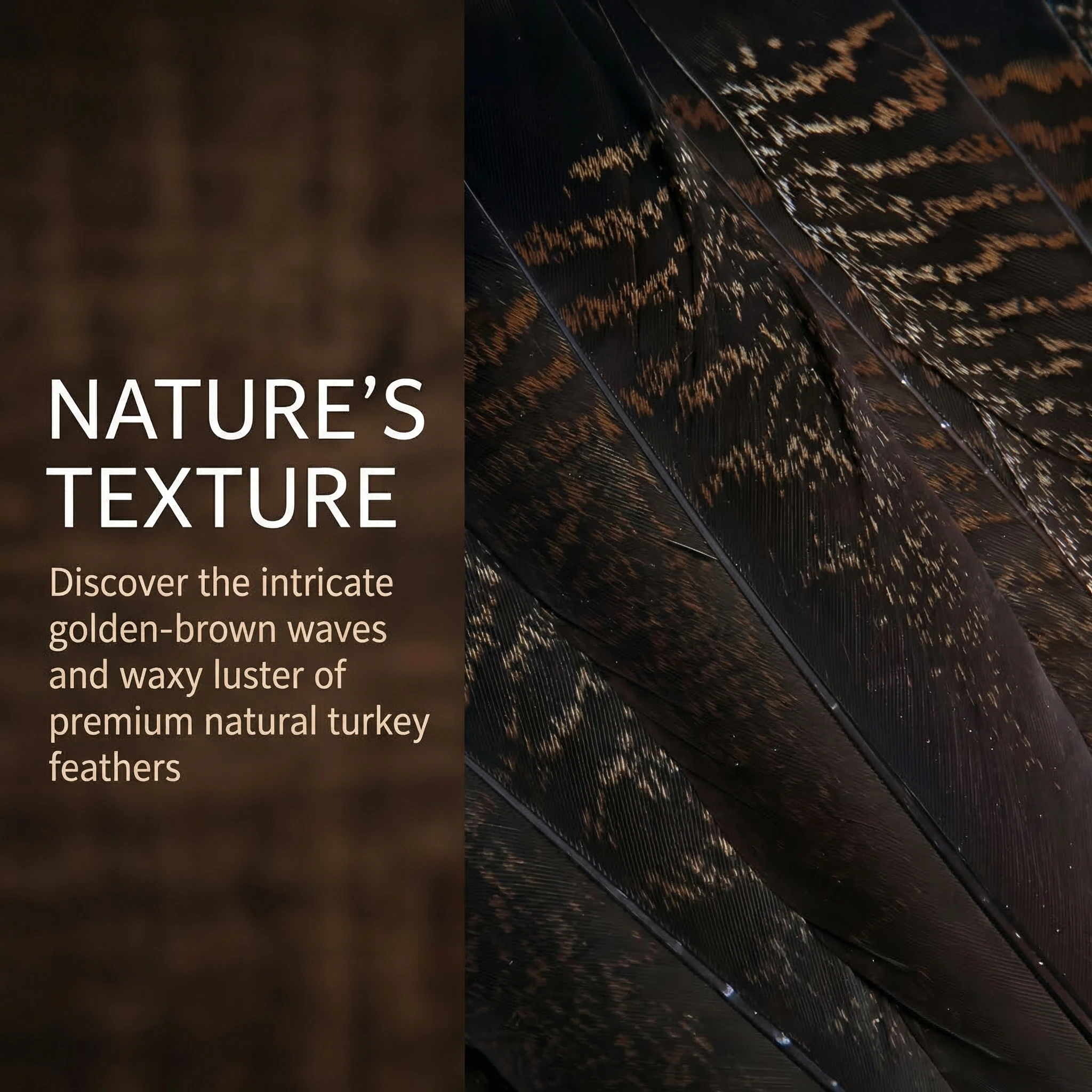 Natural Eagle Bird Pheasant Feathers for Crafts Diy Dream Catcher Jewelry Making Decoration Accessories Plumes 10-35cm