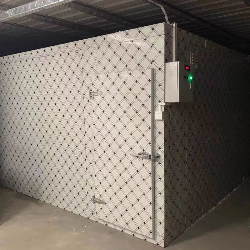 Camminata personalizzata ad alta efficienza nella stanza di congelamento nella stanza fredda fredda di refrigerazione commerciale dell'unità di raffreddamento