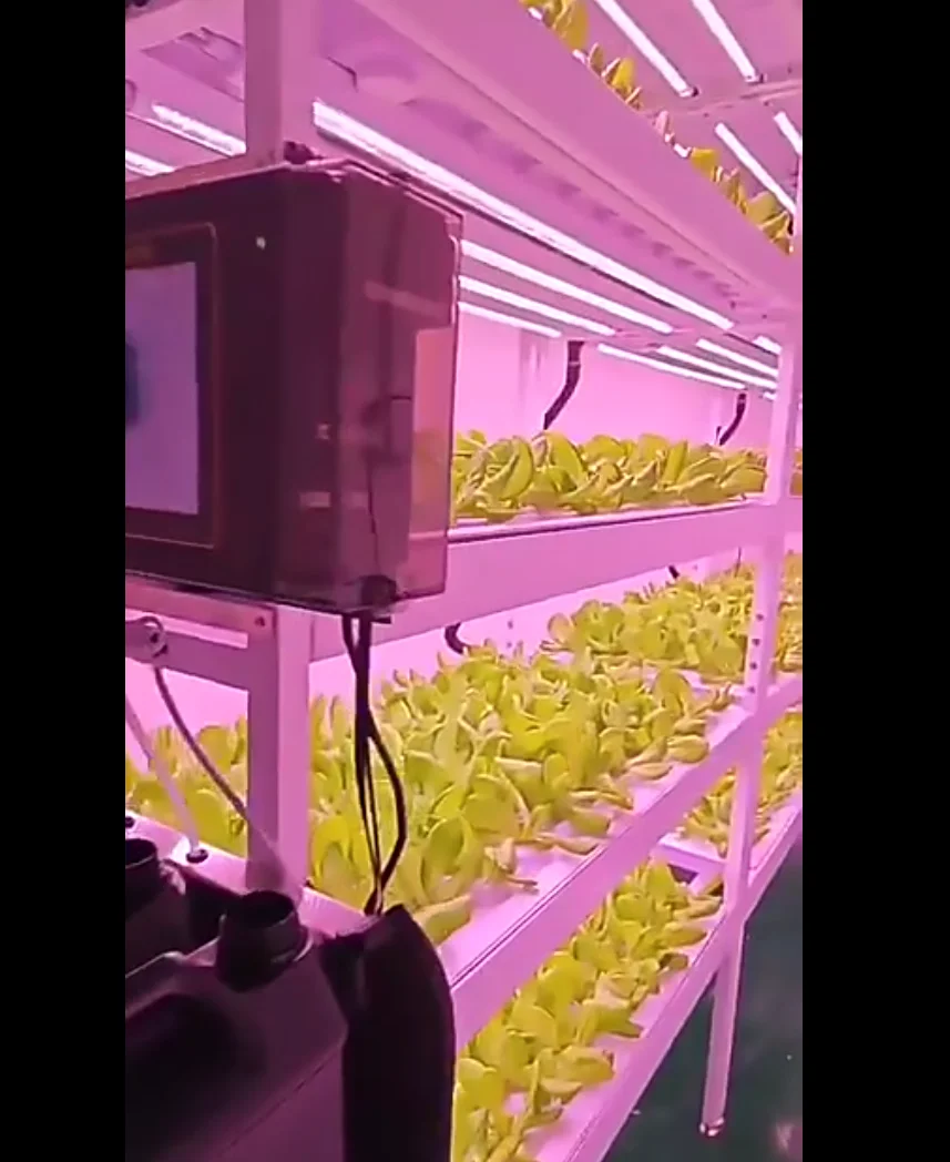 Hydroponic Farming Agriculture - 小型垂直水耕栽培タワーシステム 室内エアロポニック農業機器 温室用PCシート 農園・庭園栽培用