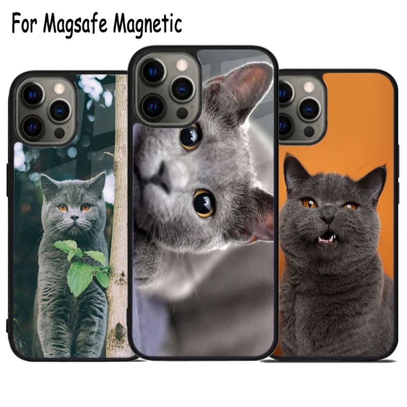 Russian Blue Cat Kitten Cute Wireless Charge Magsafe Phone Case For iPhone 15 16 14 13 11 12 Pro Max Plus Magnetic Bumper Cover