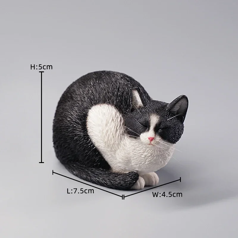 JXK 1/6 스케일 미니 수제 졸린 고양이 2.0 12 "남성 군인 액션 피규어 취미 컬렉션을위한 동물 모델