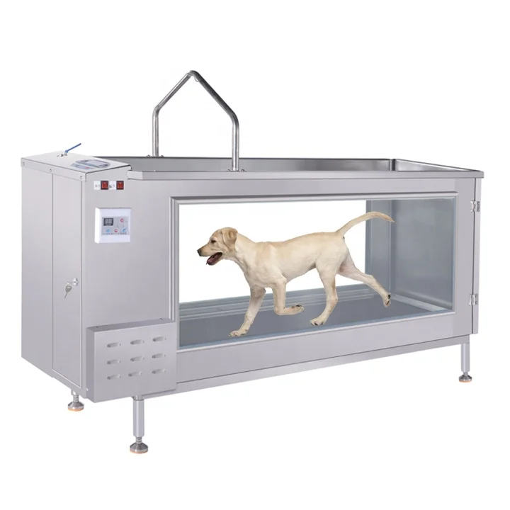 2HP Dog Treadmill Fitness for Underwater Exercise Equipment 80kg Animals Pet with Diagnosis Properties Low Price