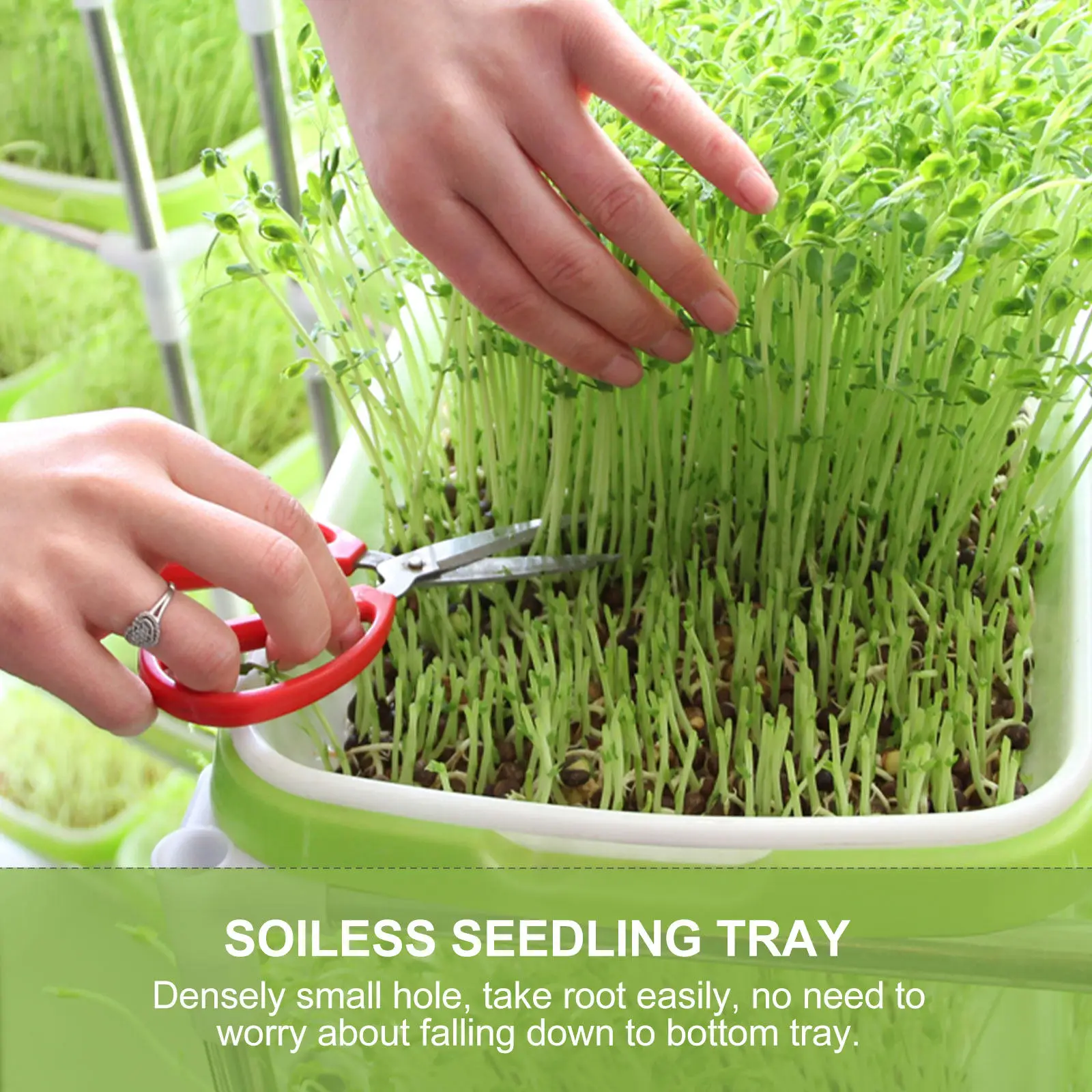 

4Set Sprouting Basins Premium Sprouter Trays Nursery Site Water Planting Tray for Wheatgrass Soybean Mung Bean Soilless Grower