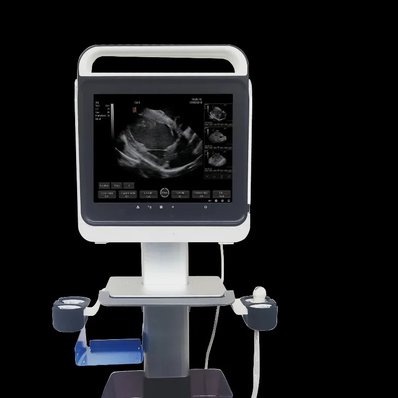 

Compact Pad Touch B/W System Portable Vet Equipment Scanner