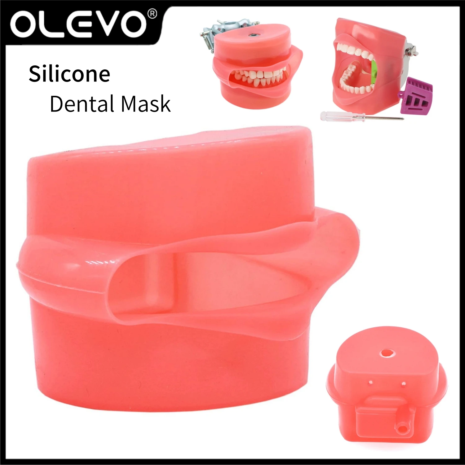 Dental Simulation Cheek Model Typodont Typodont 1:1 Standard Soft Rubber Teeth Model Silicone Mouth Mask Holder Decor Removable