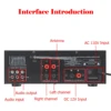Artudatech Bluetooth 5.0 HiFi Sunbuck 2000W Stereofoniczny wzmacniacz mocy Karaoke FM USB SD AUX 4