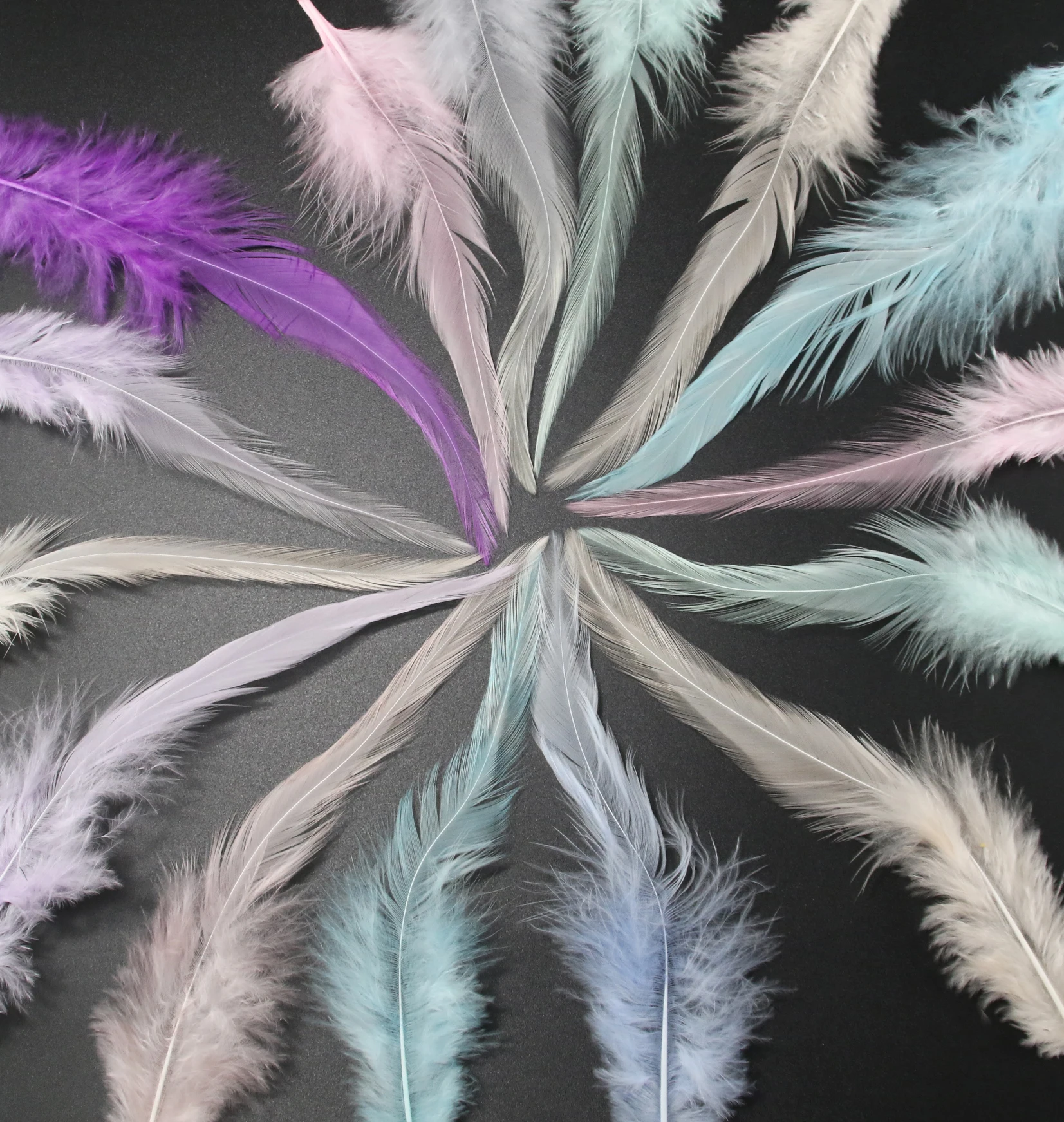 

Rooster Saddle Craft Feathers for Crafts, Chicken Plumes, Grass Green, Wedding Decoration, 4-6Inch, 10-15cm, 100Pcs