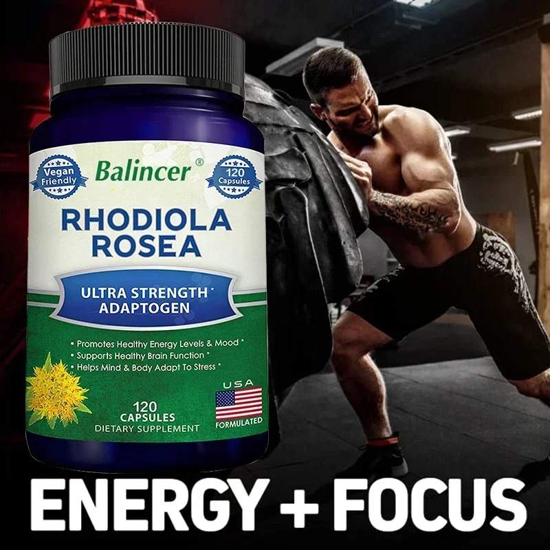 Rhodiola Rosea - BioPerine Helps Improve Absorption, A Powerful Adaptogen That Supports Healthy Energy, Mood, Stress & Brain