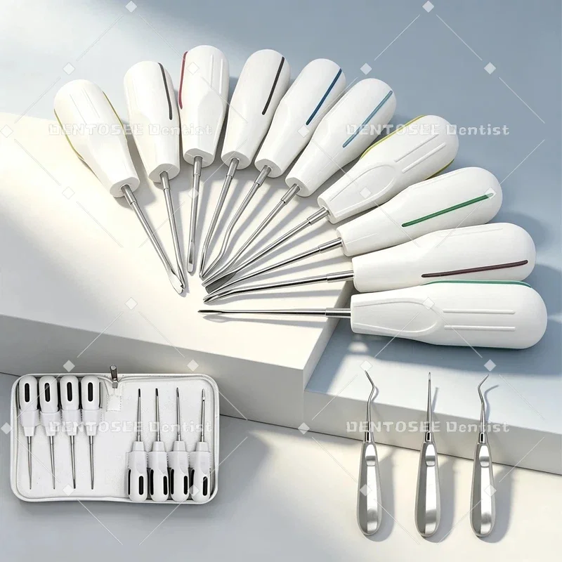 Multiple Types Dental Tool Root Elevators Tooth Extraction Kit Luxating Elevator with Plastic Handle for Dentist Oral Tool