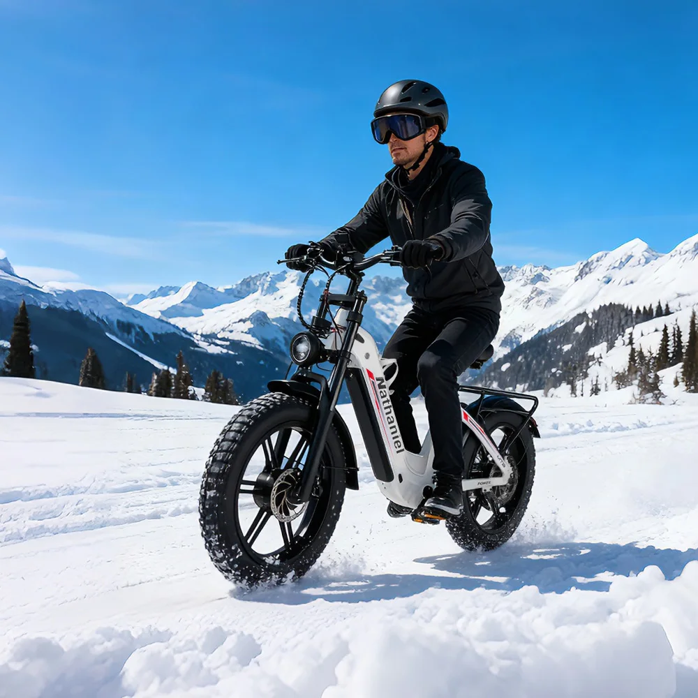 Nathaniel SYR08 Dual Motor 2000W E-Bike for City Commuting