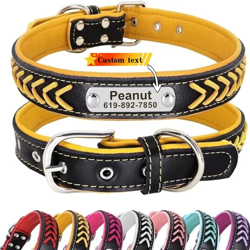 Thumbnail 2 - #76 Best Puppy Collars to Buy In 2026