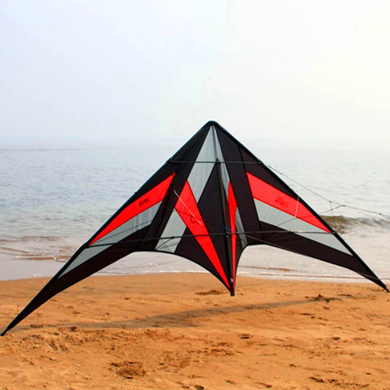 Spedizione gratuita 250 cm Professional Stunt kite Falcon aquiloni fabbrica Freilein aquilone doppia linea per adulti kitesurf volare all'aperto