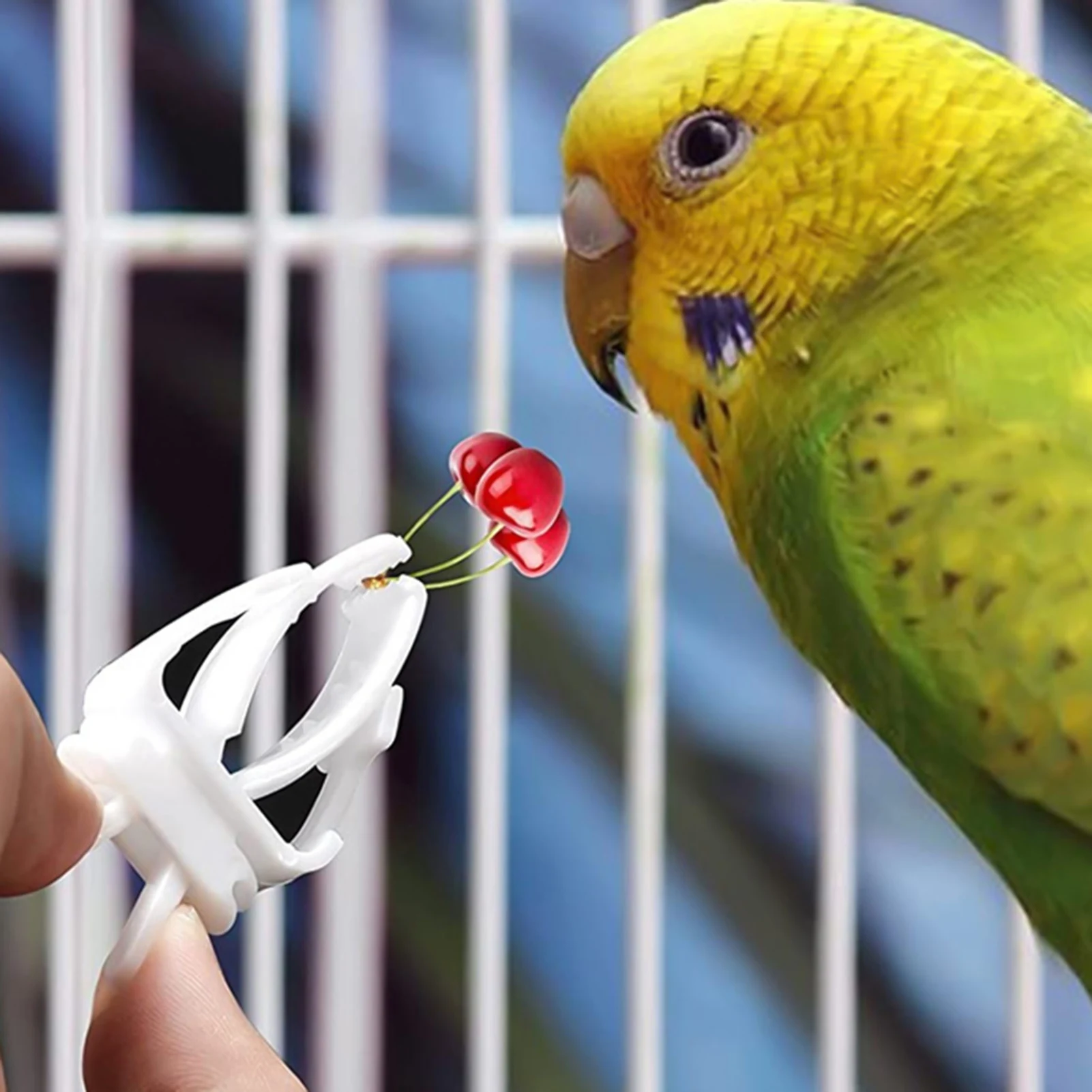 Adjustable Bird Feeding Clip Versatile for Parrot Cage Vegetable Fruit Holder Small Medium Bird Healthy Diet Supplies
