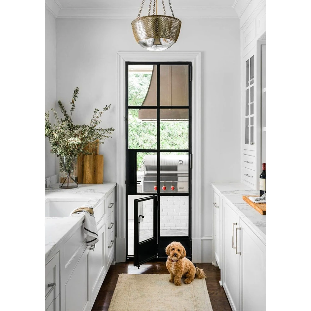 Glass Steel Front Doors With Dog Door For Houses Slim Line Design Crittall Style Kitchen Doors Manual Opening Georgia