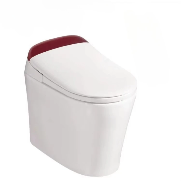 Deodorization Dual Nozzles Sanitary Ware Intelligent Smart Toilet