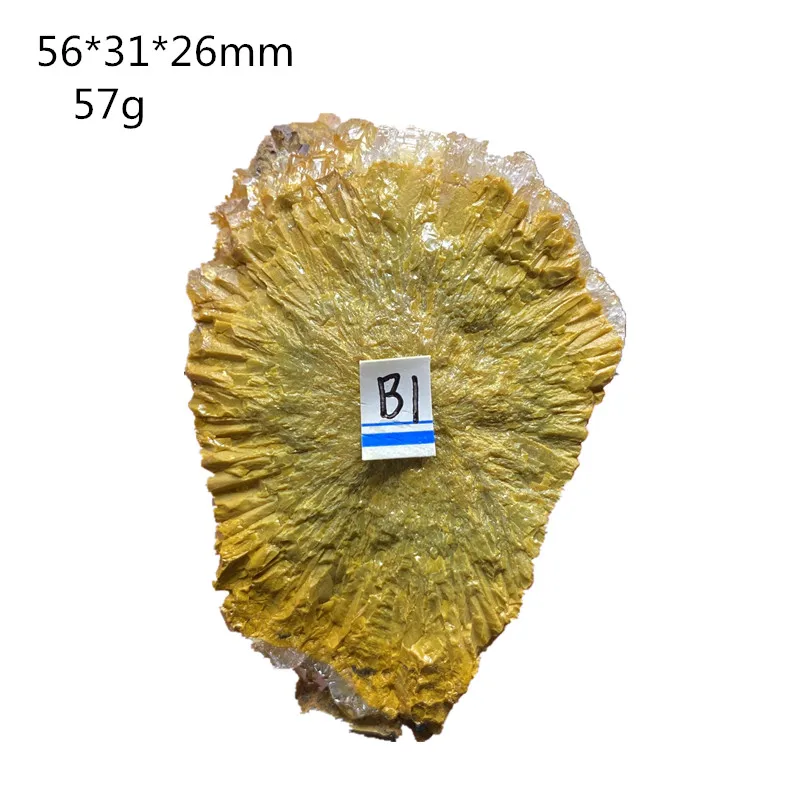 

AAAAA+Natural Marine jasper home ornament quartz crystal