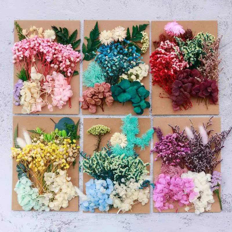 Colorful Real Pressed Flower Natural Preserved Dried Flowers DIY Resin Beauty Nail Art Decals Epoxy Mold Fillings Jewelry Making