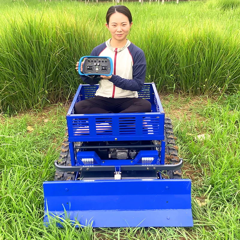 Customized Small Robotic Lawn Mower 550mm Cutting Width Remote Control Tracked with Storage Rack for Lawn Care